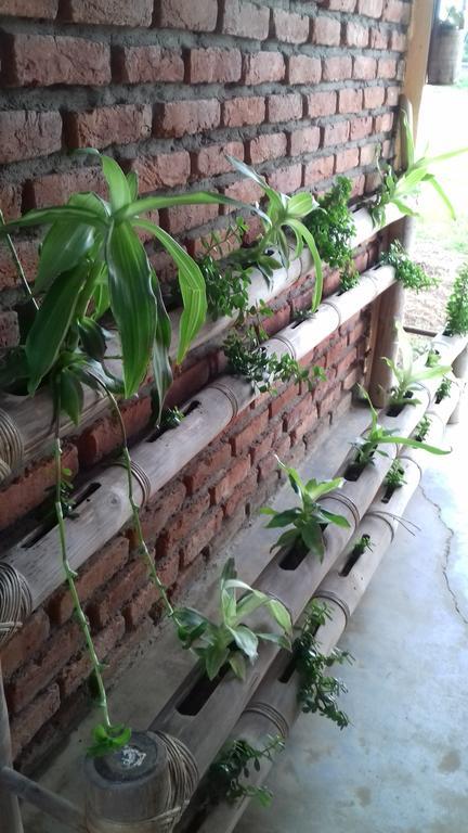 Longchen Homestay Dimāpur Εξωτερικό φωτογραφία